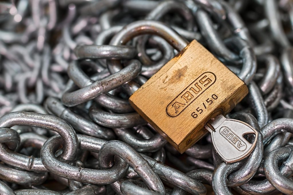 transgender health, online community, information access, digital resilience