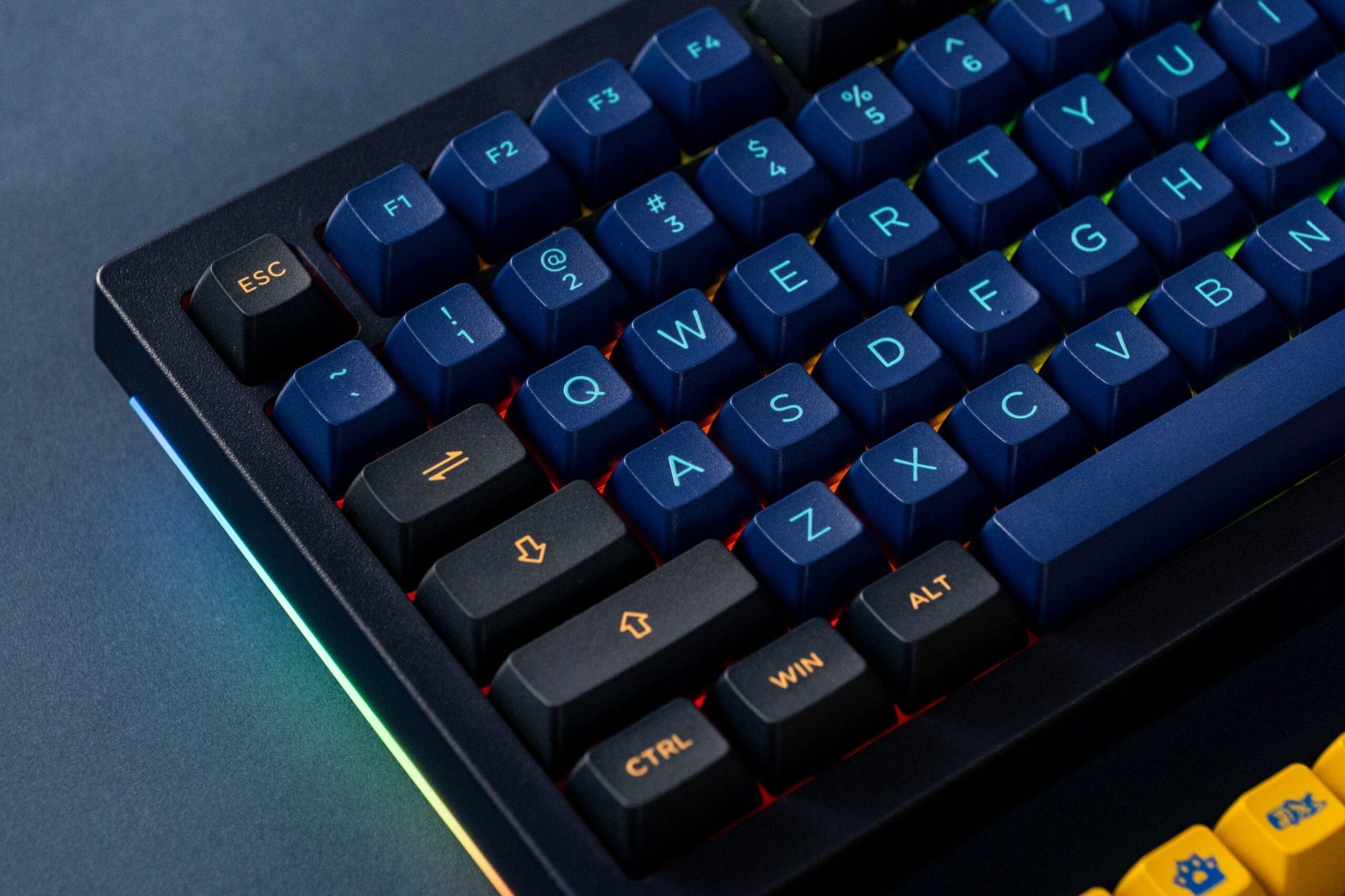 Bàn phím cơ gaming Akko 5075B Plus Horizon | 3 Mode, TKL, Linear Switch, RGB - Ảnh 5