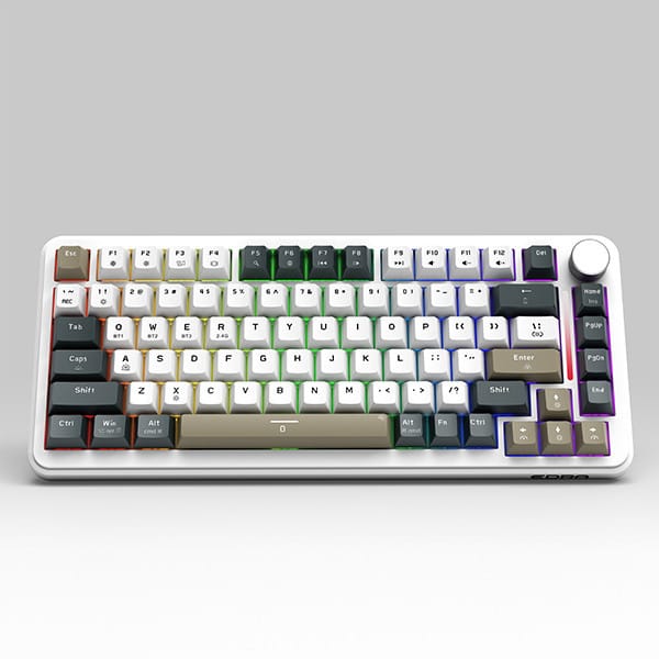 Bàn phím cơ gaming E-Dra EK375W | Wireless, TKL, Linear Switch, RGB, Trong suốt - Ảnh 5